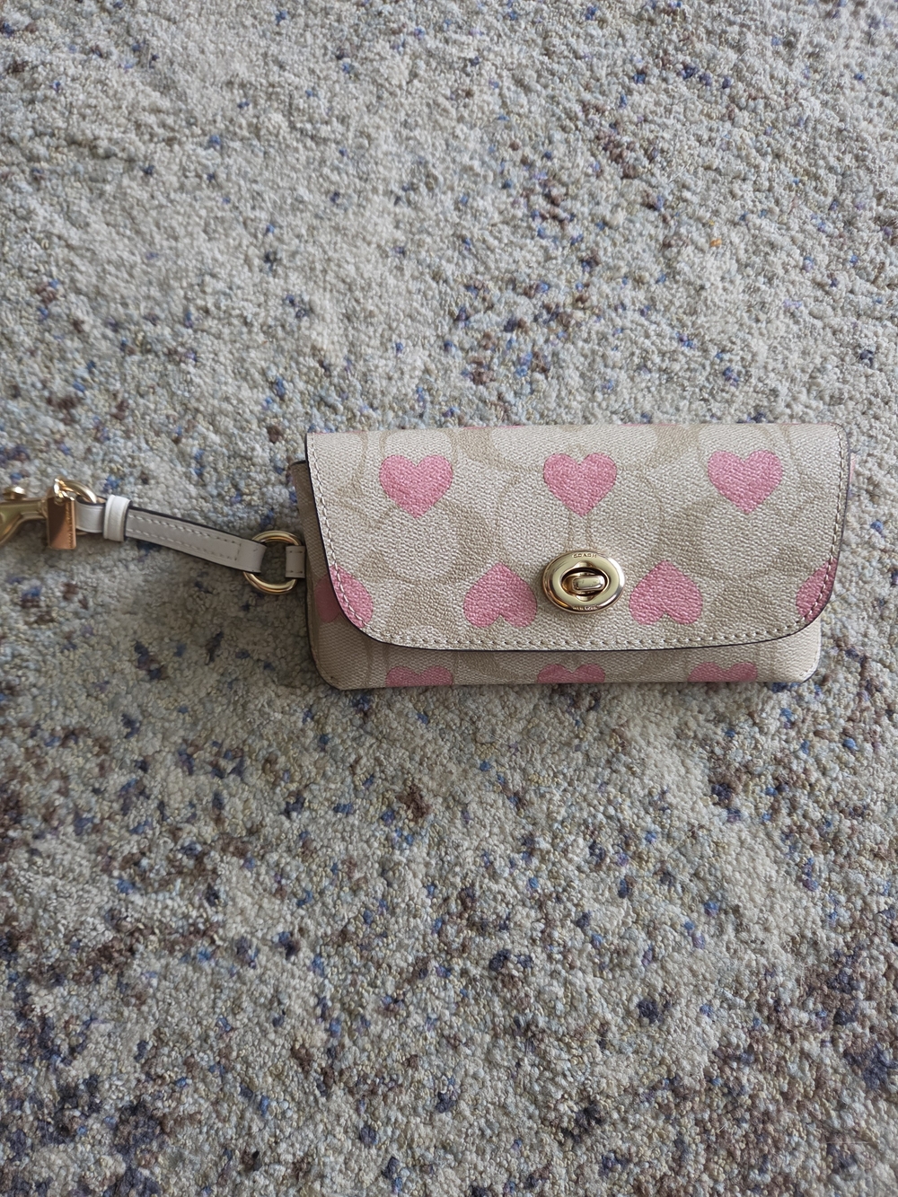 Coach Heart-Print Sunglasses Case